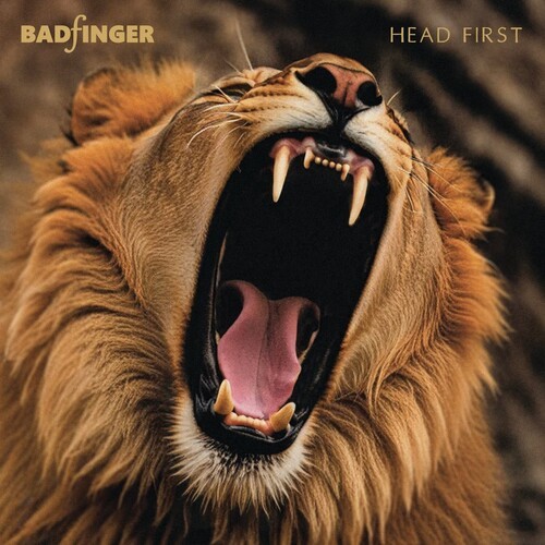 Badfinger head first - badfinger,
